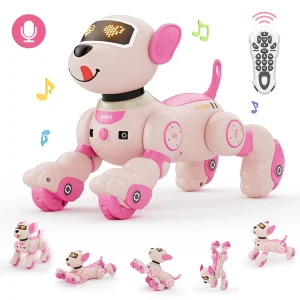 Robot Dog Toy for Kids Voice 2.4GHz Remote Control